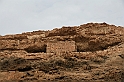 Kanary_2010 015